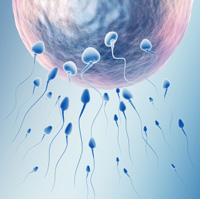 Assisted Reproductive Options